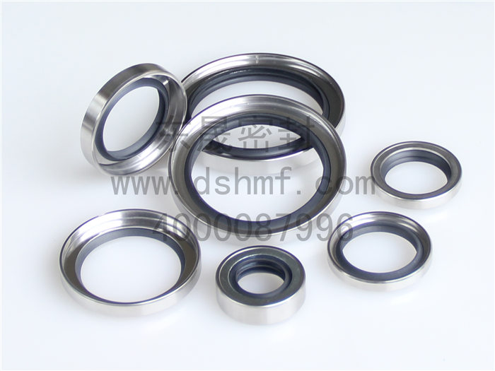 油封，不銹鋼油封