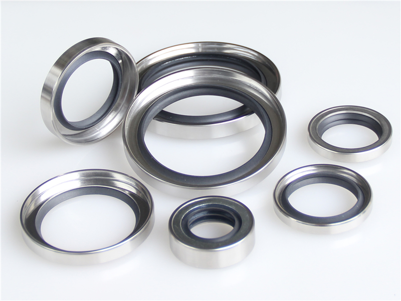 不銹鋼油封，骨架油封