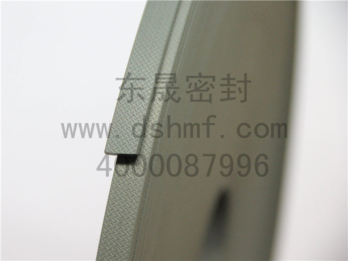 密封件，導(dǎo)向帶