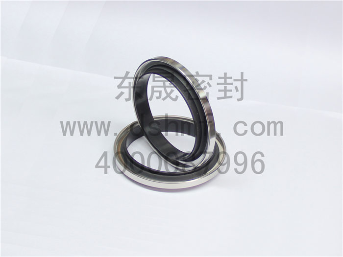 油封密封件產(chǎn)品 油封密封件產(chǎn)品