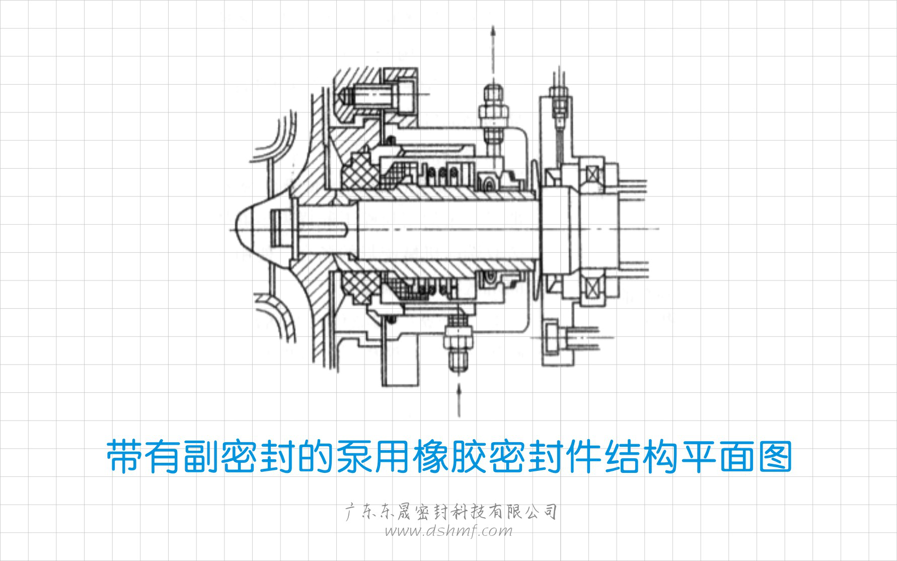帶有副密封的泵用橡膠密封圈結構平面圖 帶有副密封的泵用橡膠密封圈結構平面圖