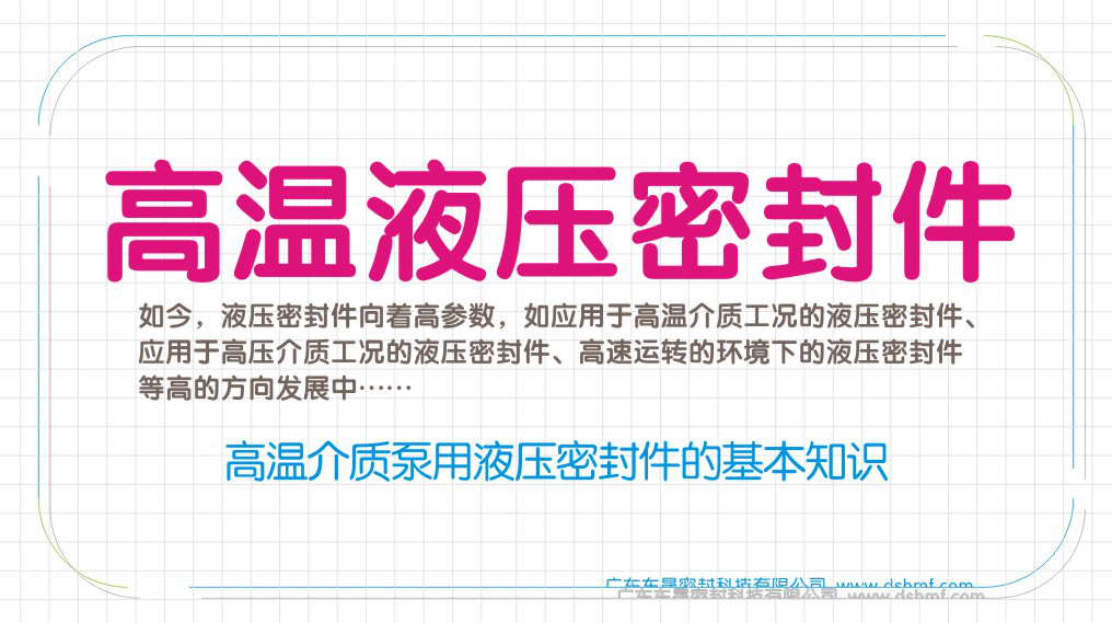 高溫介質(zhì)泵用液壓密封件的基本知識圖