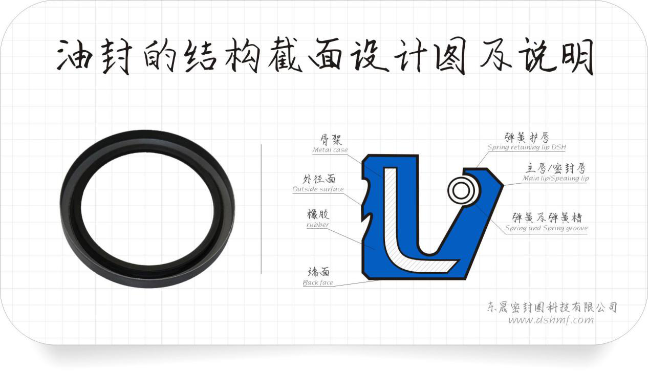 骨架油封的密封件結(jié)構(gòu)各位術(shù)語(yǔ)介紹圖 骨架油封的密封件結(jié)構(gòu)各位術(shù)語(yǔ)介紹圖