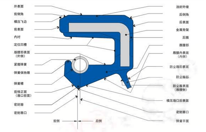 內(nèi)包骨架油封各部位主要名稱和術(shù)語圖 內(nèi)包骨架油封各部位主要名稱和術(shù)語圖
