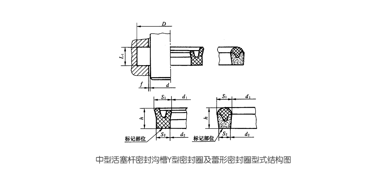 中型活塞桿密封溝槽Y型密封件及蕾形密封件型式結(jié)構(gòu)圖 中型活塞桿密封溝槽Y型密封件及蕾形密封件型式結(jié)構(gòu)圖