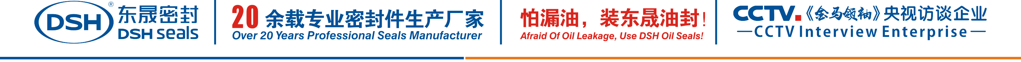 怕漏油，裝東晟油封！