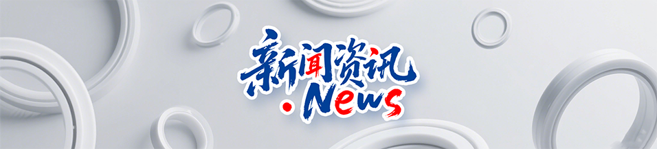 汽車打氣泵y型密封圈DYH產(chǎn)品案例 ? 密封材料改性關鍵技術解析！